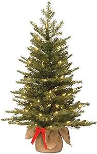 National Tree Company Pre-Lit 'Feel Real' Artificial Mini Christmas Tree, Green, Nordic Spruce, White Lights, Includes Burlap Bag Base, 3 Feet