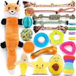 LOYEE Puppy Toys 21 Pack, Small Dog Chew Toys with Rope Toys for Teething Pet Cute Squeak Toy with Treating Ball for Puppy, Small Dogs