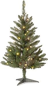 National Tree Company Artificial Mini Christmas Tree, Green, Kingswood Fir, Includes Stand, 3 Feet