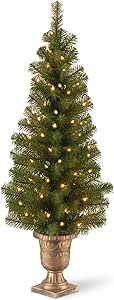 National Tree Company Pre-lit Artificial Tree For Entrances and Christmas| Includes Pre-strung White Lights | Montclair Spruce - 4 ft, Black/Gold