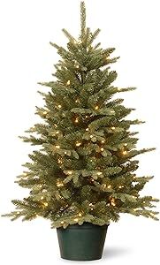 National Tree Company Artificial Christmas Tree For Entrances | Includes White Lights and Pot | Everyday Collections - 3 ft